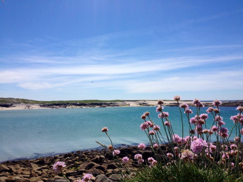 Dolphin Beach House Hotel Clifden Buitenkant foto