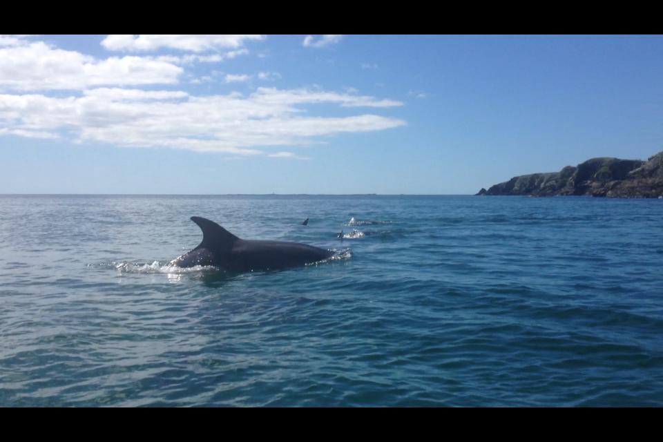 Dolphin Beach House Hotel Clifden Buitenkant foto