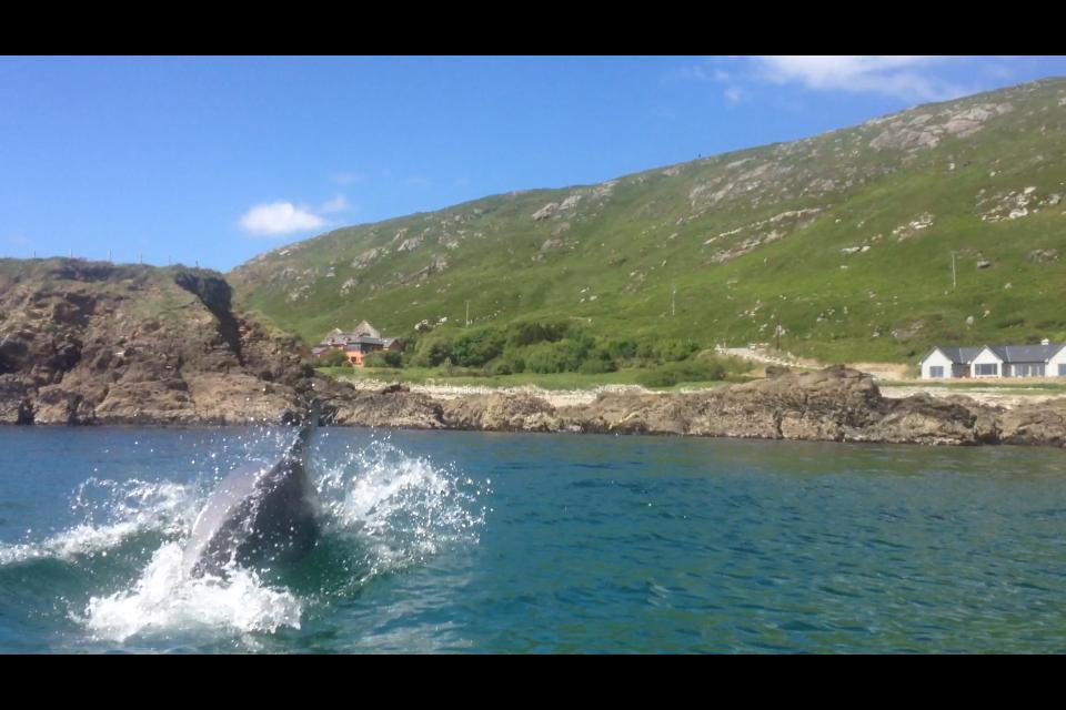 Dolphin Beach House Hotel Clifden Buitenkant foto
