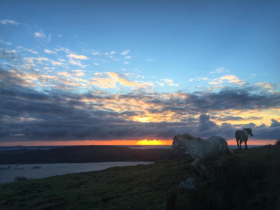 Dolphin Beach House Hotel Clifden Buitenkant foto